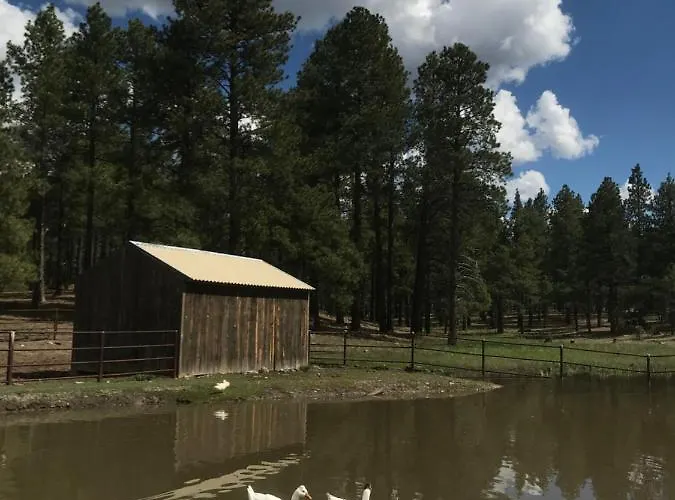 Grand Canyon 1bd Loft At Historic Wrigley Ranch-suite With Horseback Riding, Hiking Holiday home *