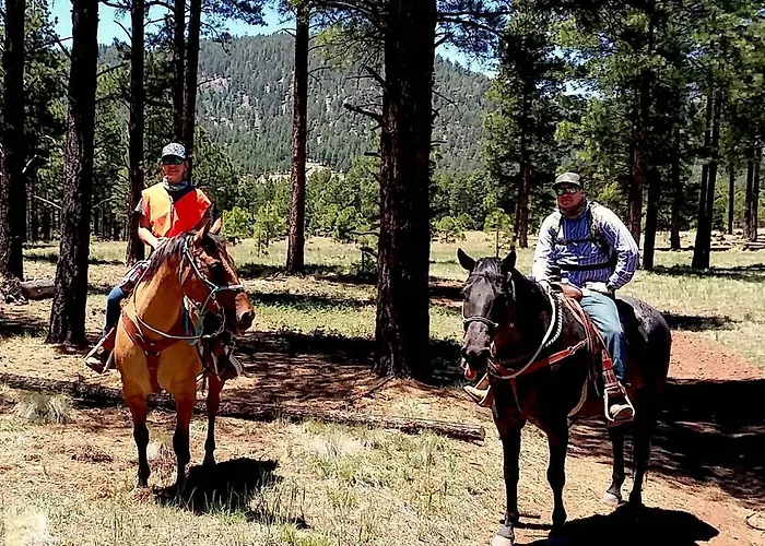 Grand Canyon 1bd Loft At Historic Wrigley Ranch-suite With Horseback Riding, Hiking * Parks